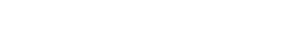 big village logo