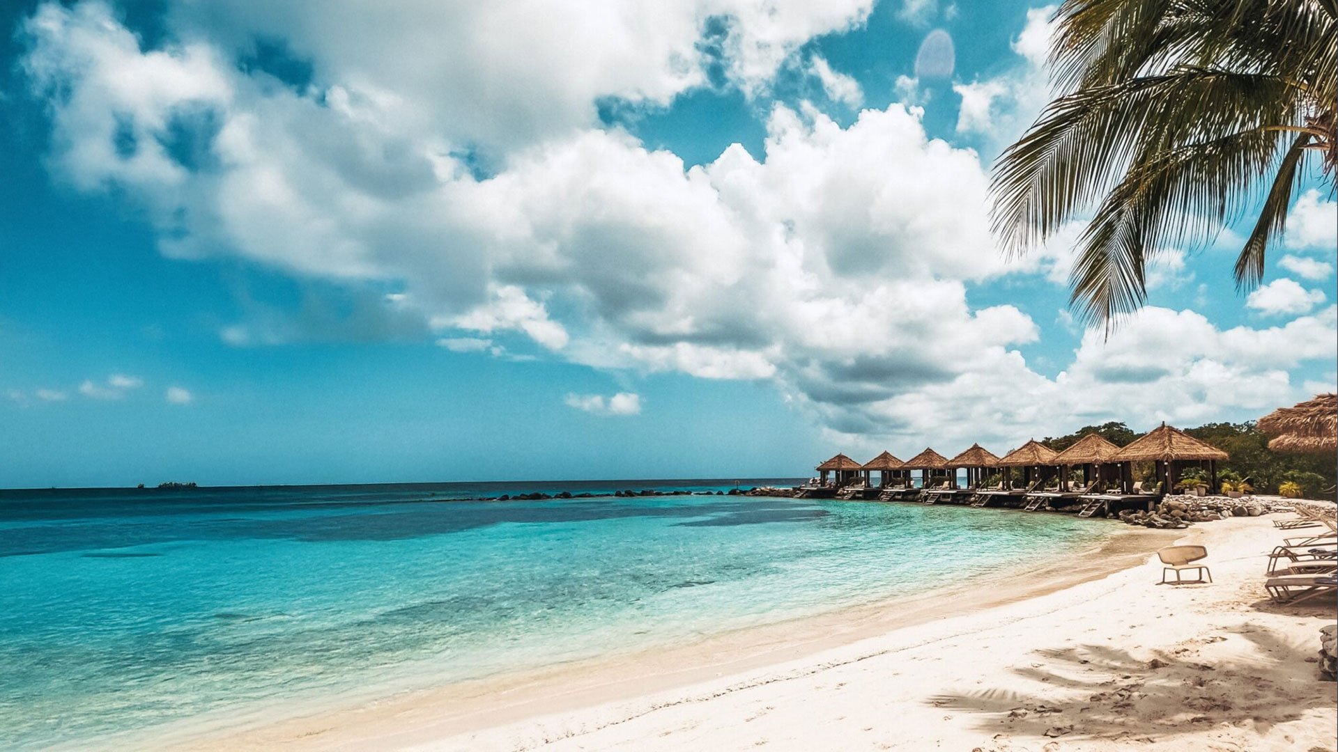 Travel and Tourism (Aruba) case study featured image